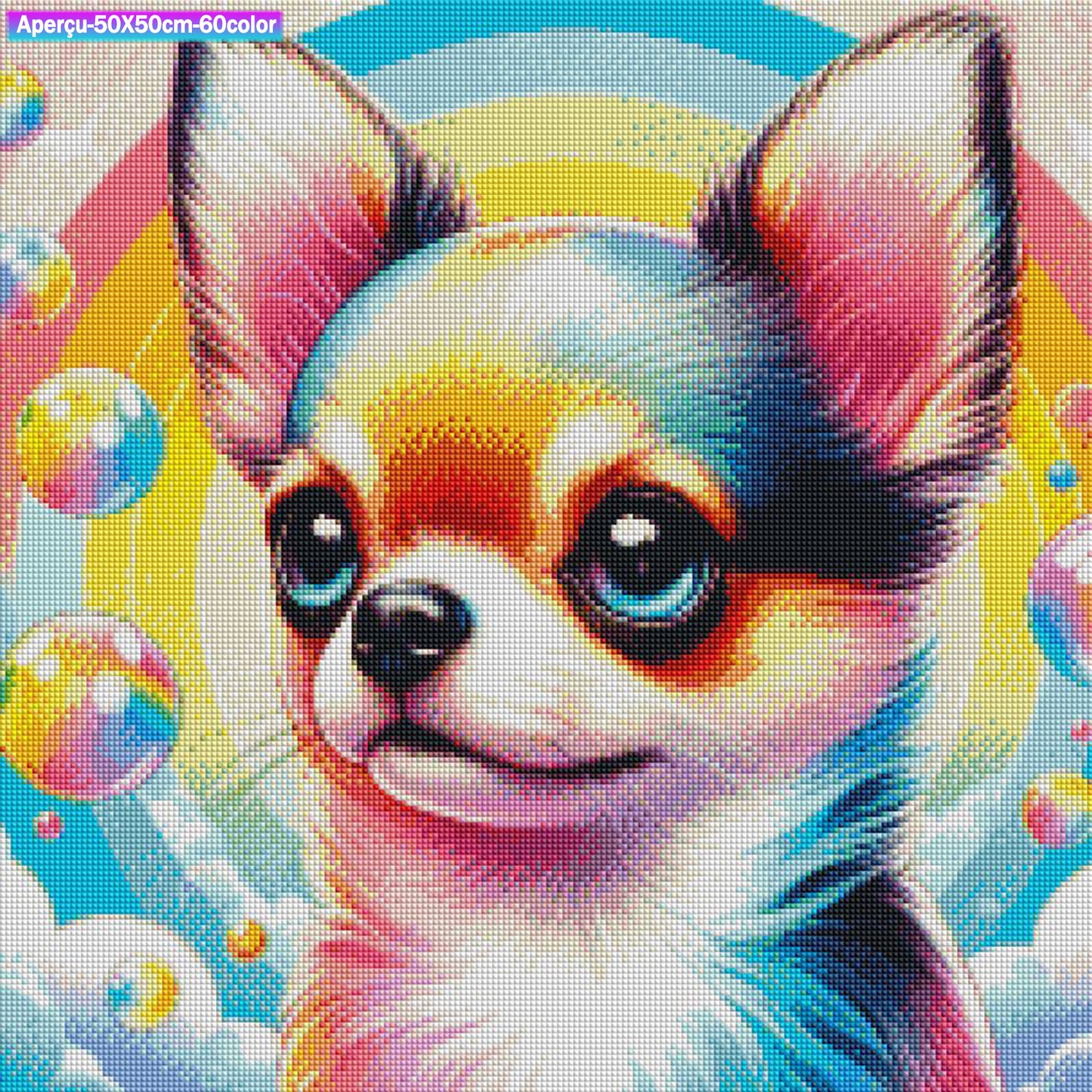 Chihuahua rêveur