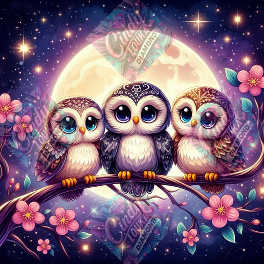 Chouettes Enchantées 60x60 cm
