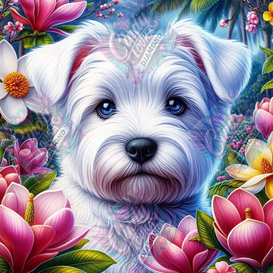 Compagnon Fleuri 60x60 cm