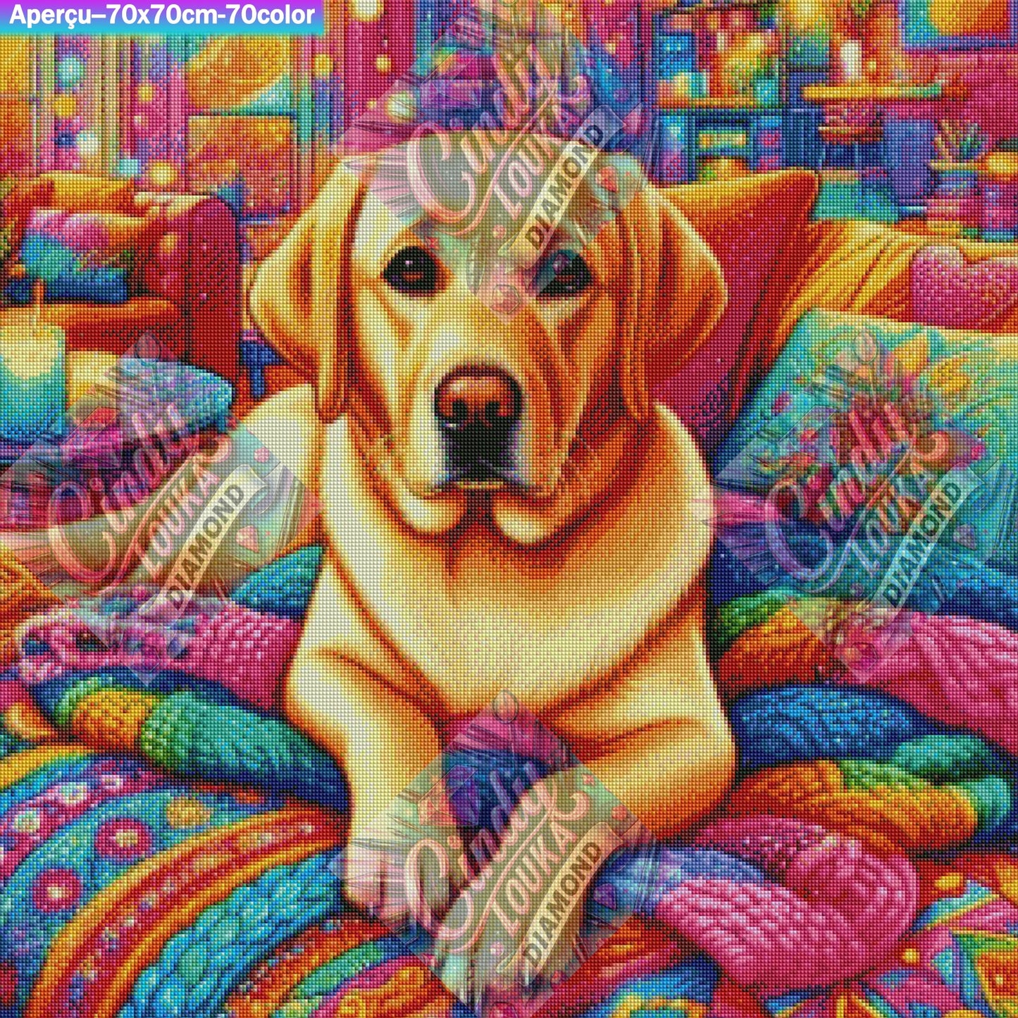 Memphis un amour de Labrador