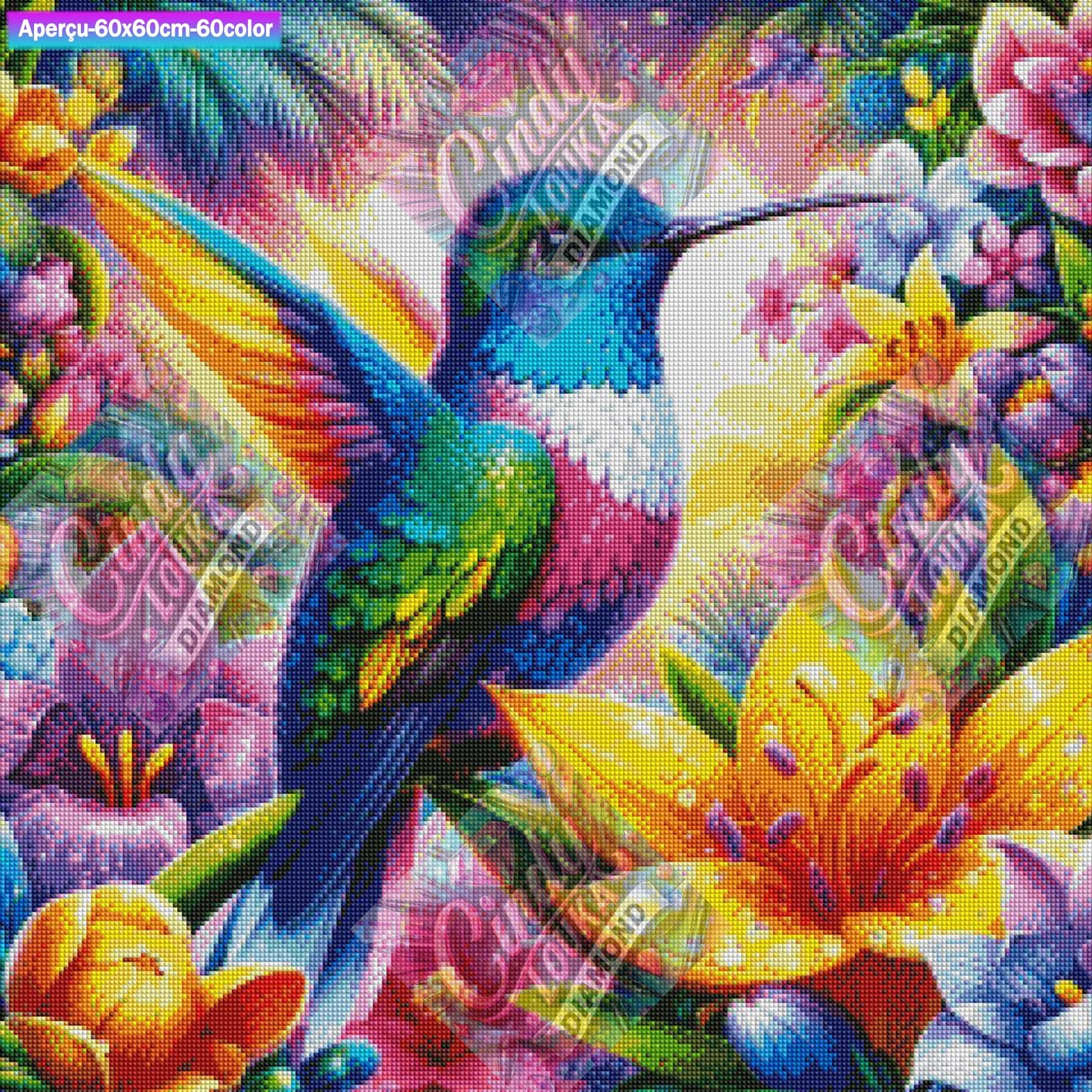 Colibri du Paradis 60x60 cm