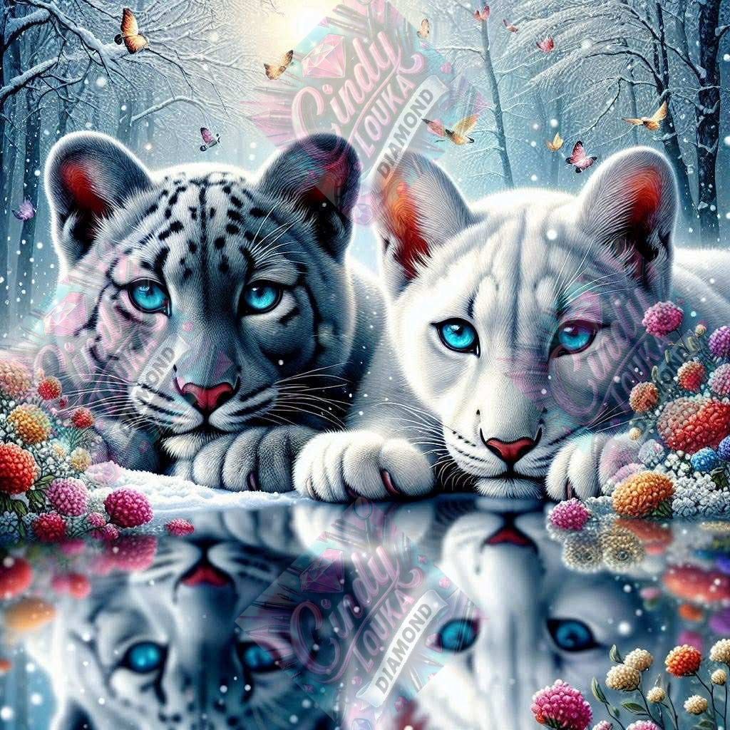 Frères du Miroir 60x60 cm