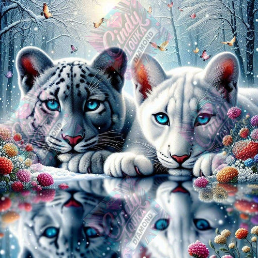 Frères du Miroir 60x60 cm