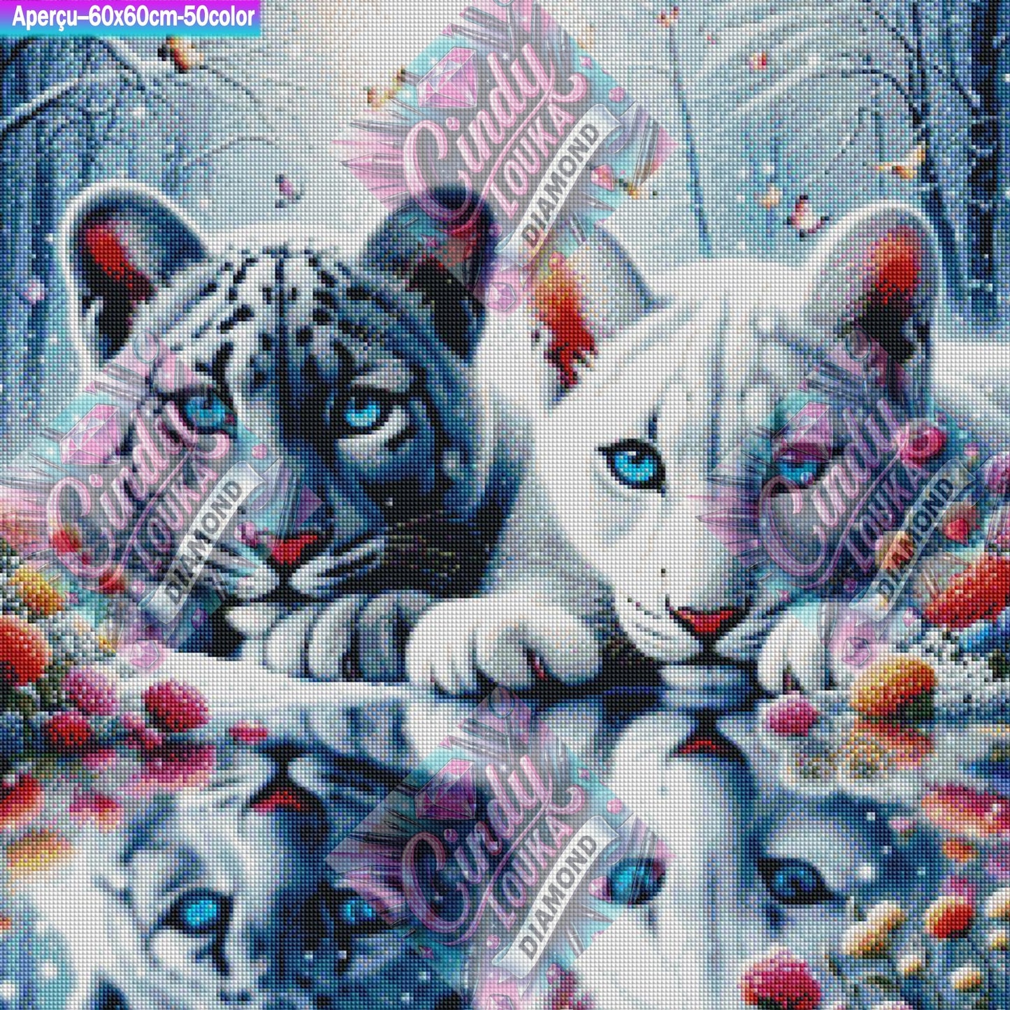 Frères du Miroir 60x60 cm