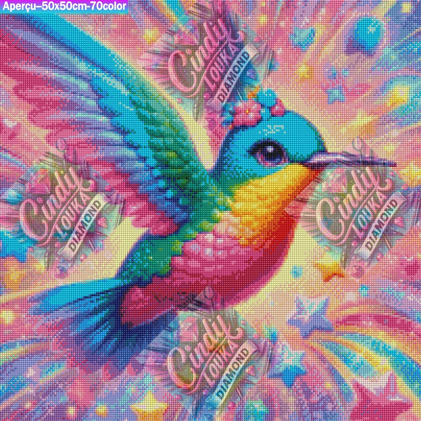 Colibri des Mille Lumières 50x50 cm