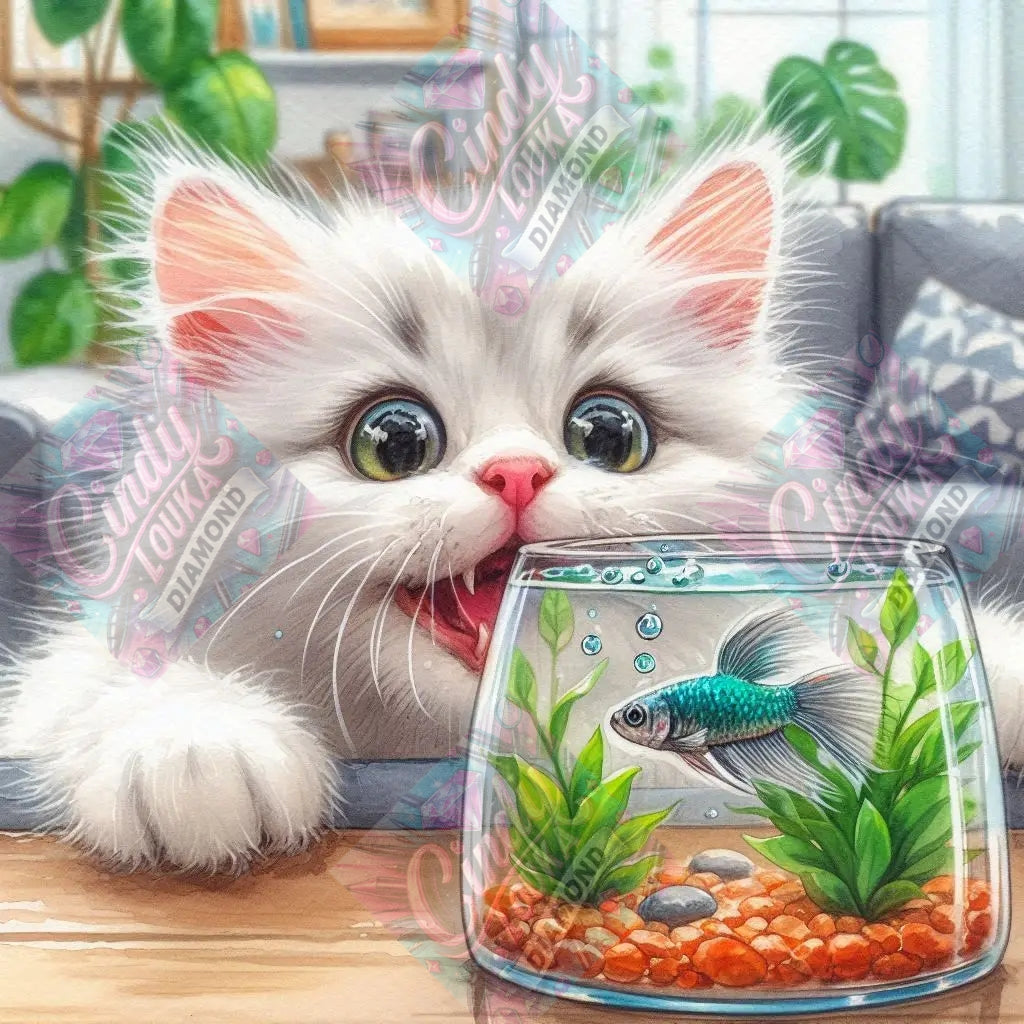 Curiosité Féline 60x60 cm